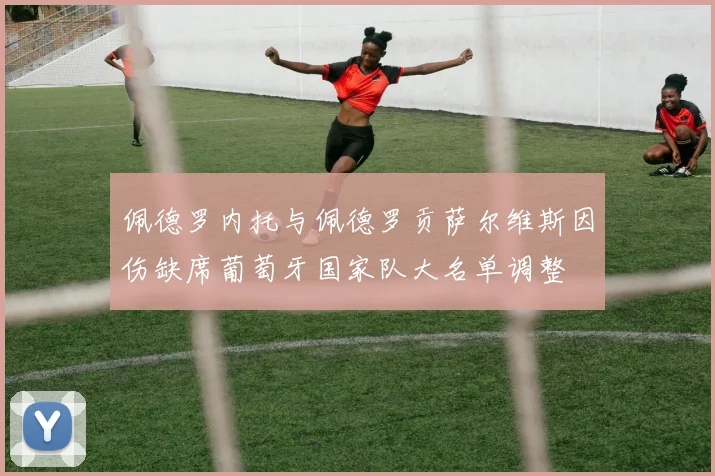佩德罗内托与佩德罗贡萨尔维斯因伤缺席葡萄牙国家队大名单调整