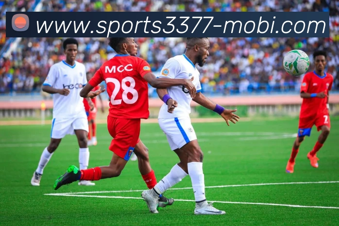 3377体育平台生态图